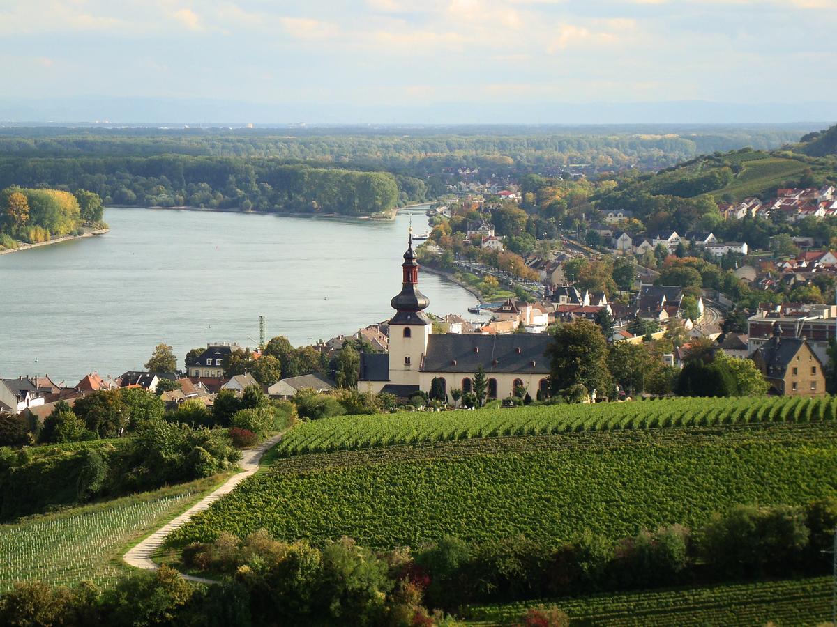 Best Western Wein- Und Parkhotel Nierstein Kültér fotó